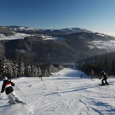 Apartmán Herlíkovice 303 *