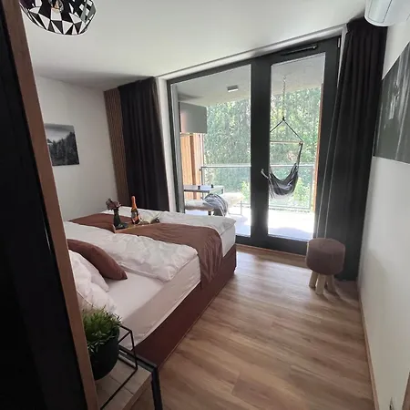 Apartament Herlikovice 303 *